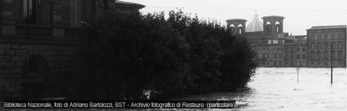 Related Institutions